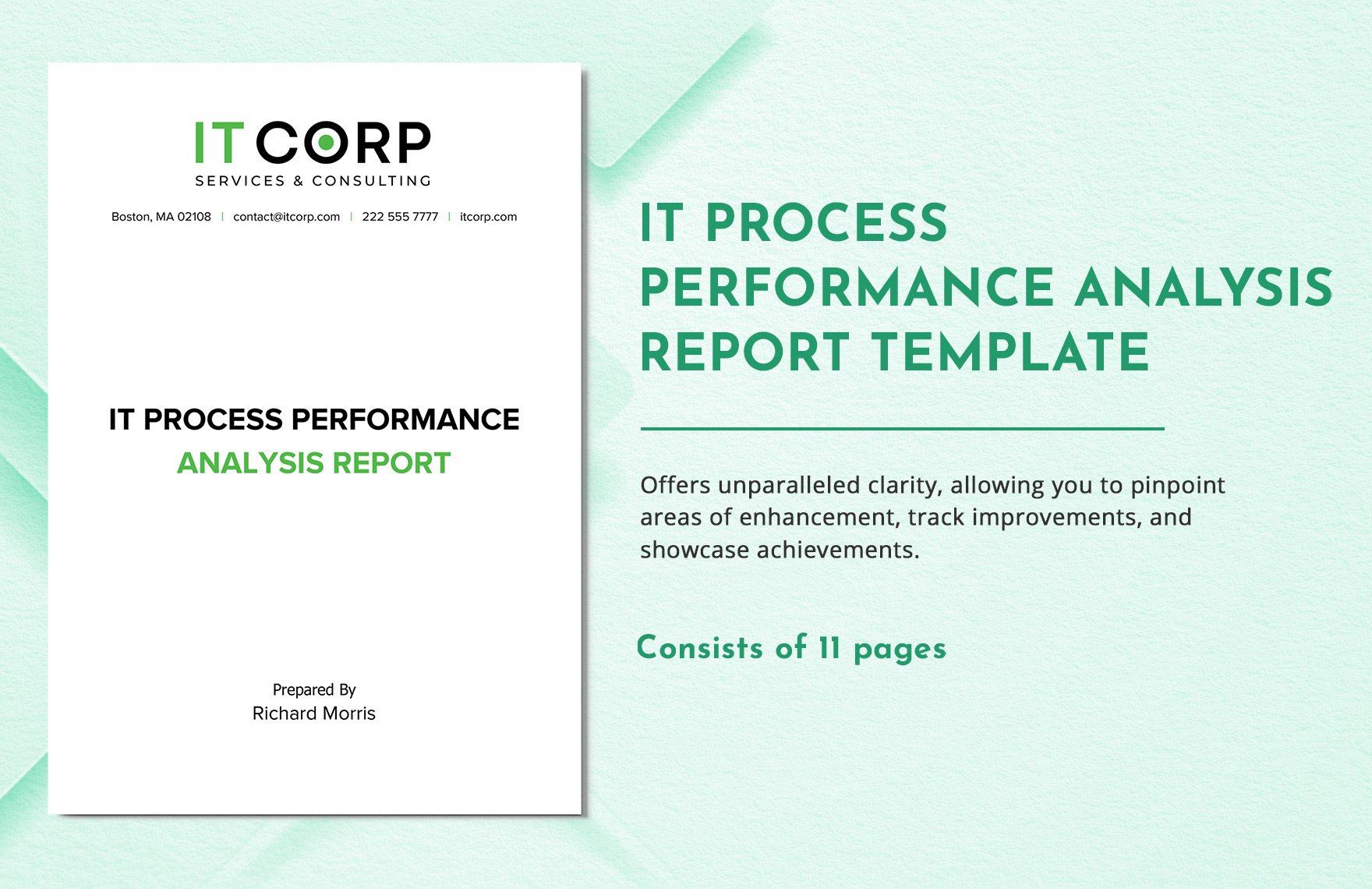 IT Process Performance Analysis Report Template