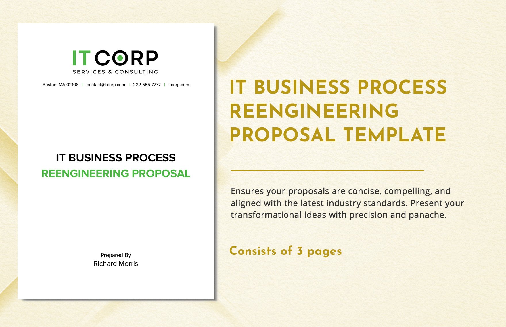 IT Business Process Reengineering Proposal Template