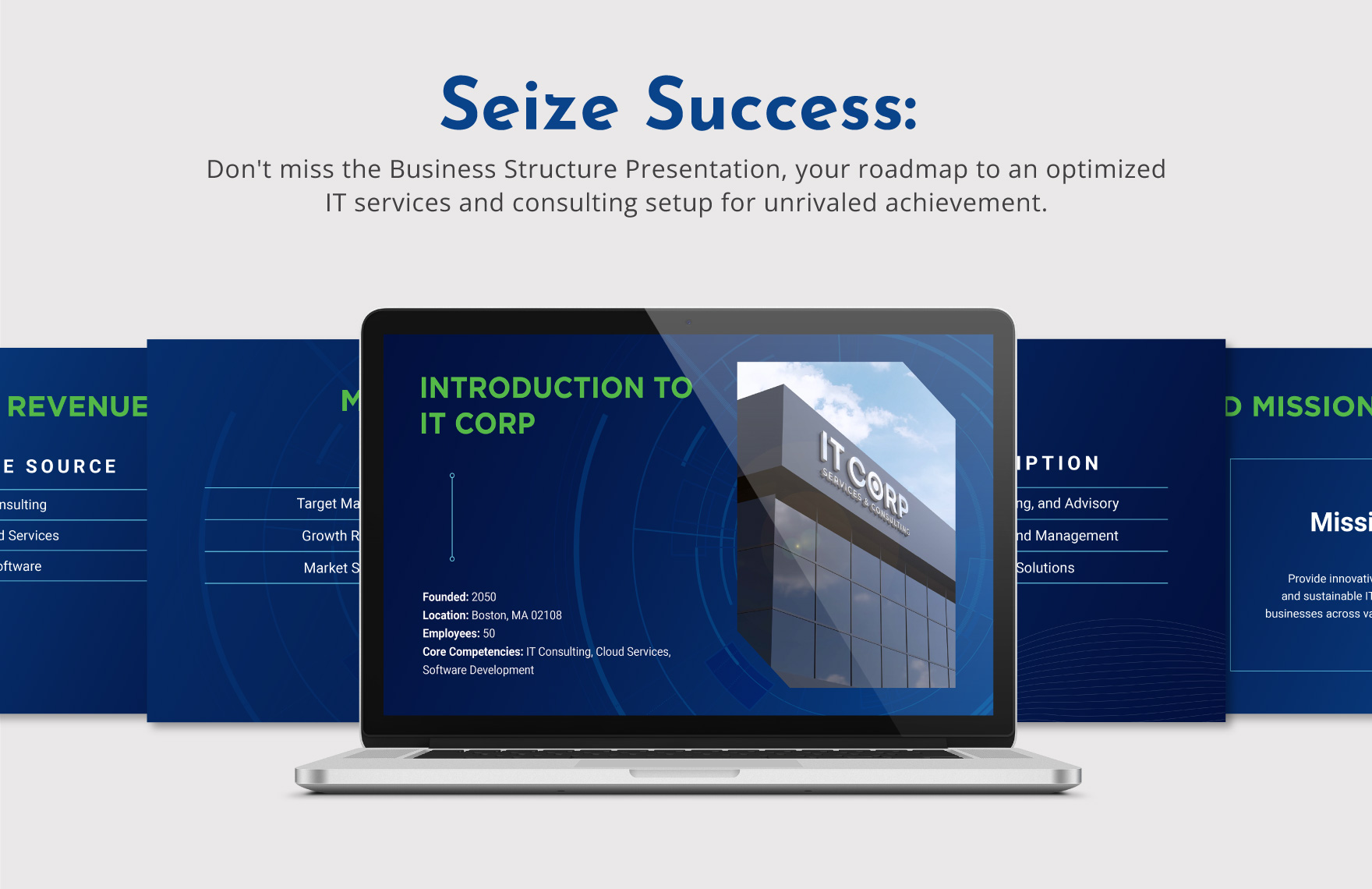 IT Services and Consulting Business  Structure Presentation