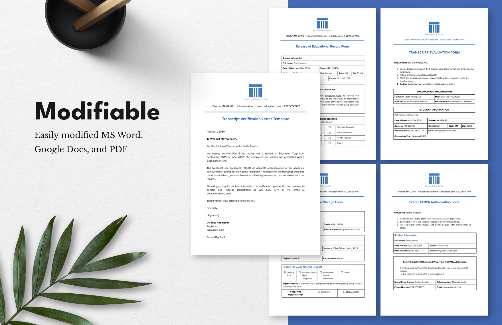 10 Education Transcripts and Records Template Bundle