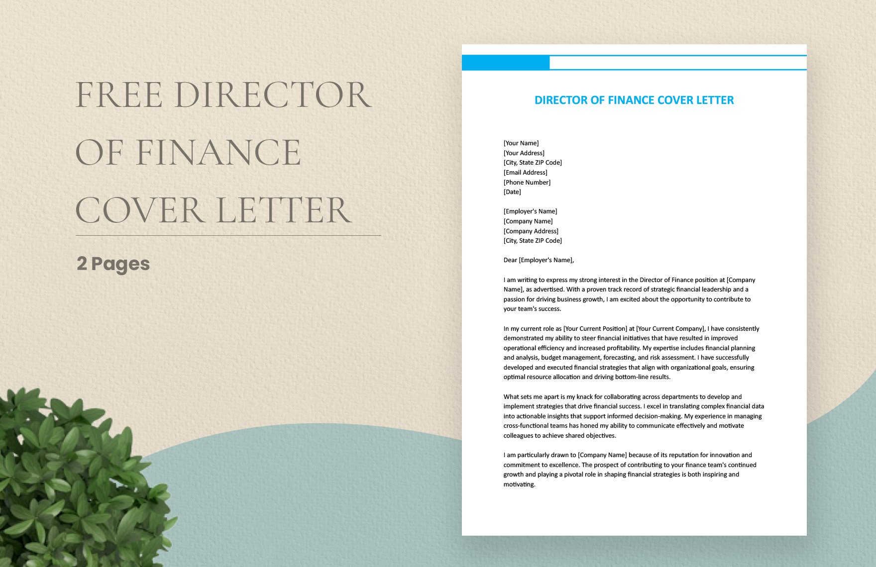 Director of Finance Cover Letter