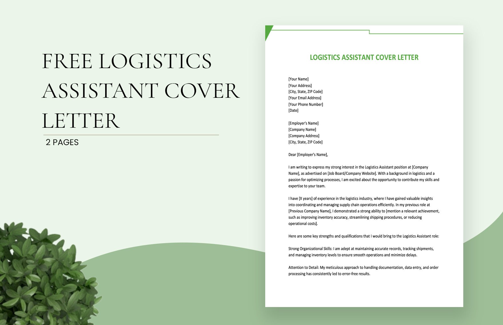Logistics Assistant Cover Letter
