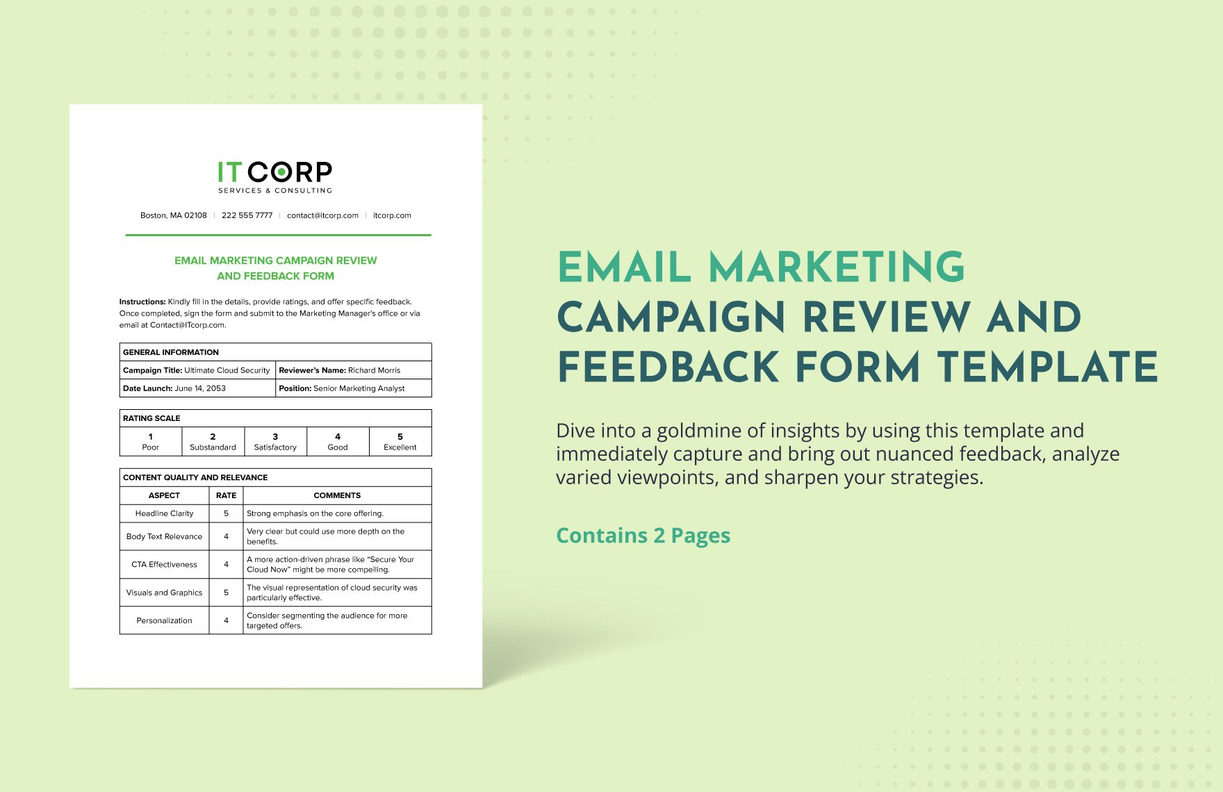 Email Marketing Campaign Review and Feedback Form Template