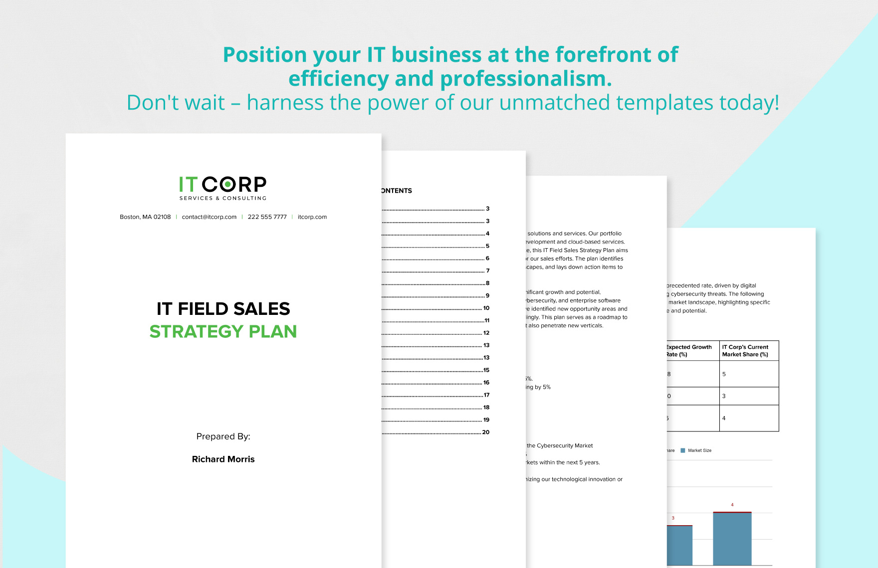 IT Field Sales Strategy Plan Template