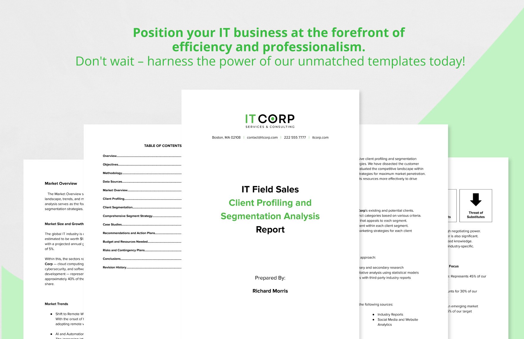 IT Field Sales Client Profiling and Segmentation Analysis Report Template