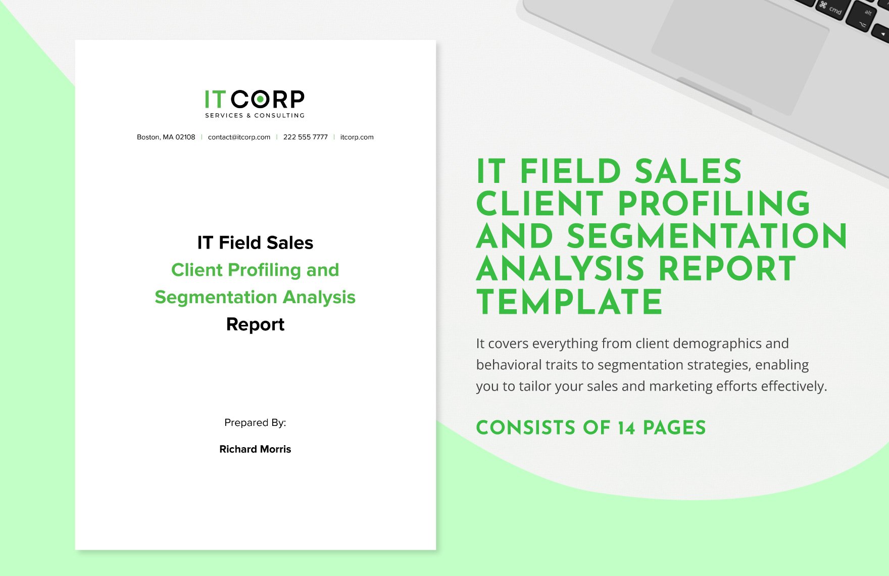 IT Field Sales Client Profiling and Segmentation Analysis Report Template in Word, Google Docs, PDF