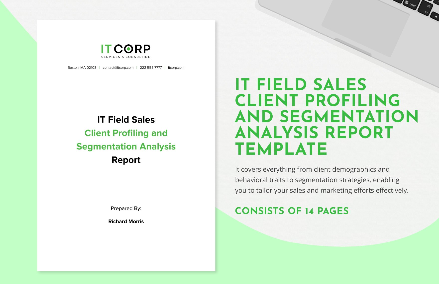 IT Field Sales Client Profiling and Segmentation Analysis Report Template in Google Docs, Word, PDF - Download | Template.net