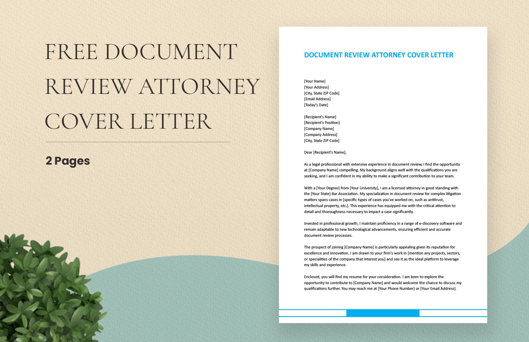 Document Review Attorney Cover Letter