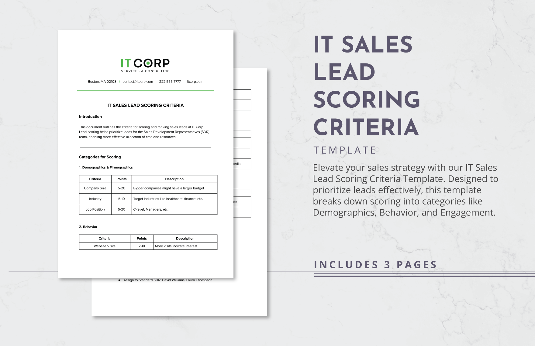 IT Sales Lead Scoring Criteria Template in Word, Google Docs, PDF