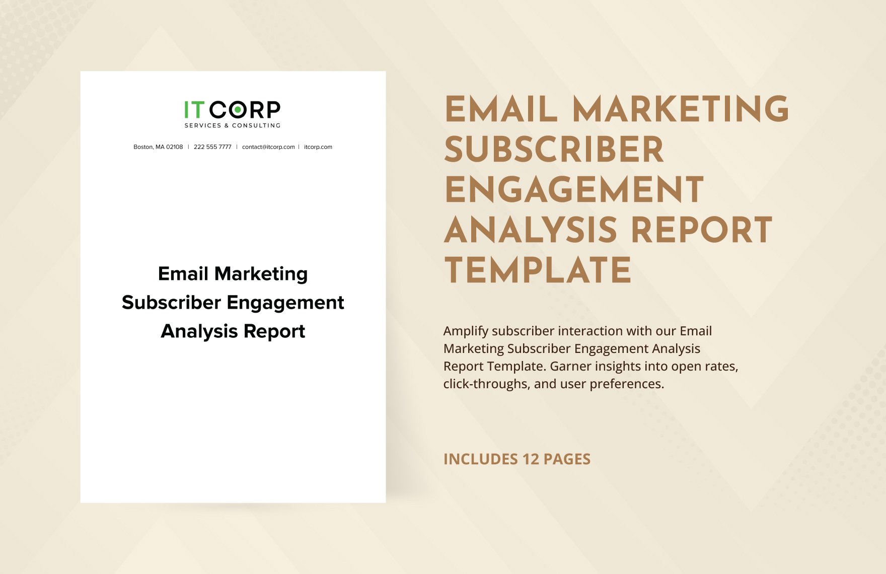 Email Marketing Subscriber Engagement Analysis Report Template