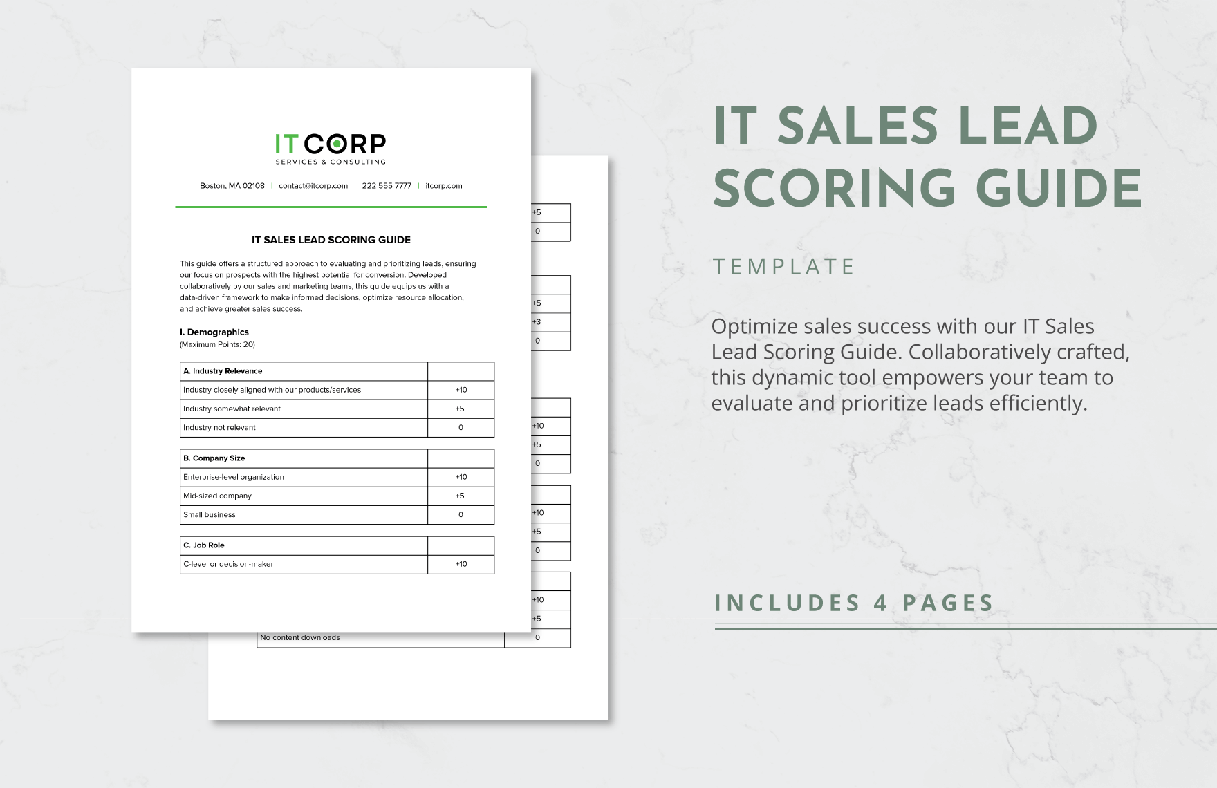 IT Sales Lead Scoring Guide Template
