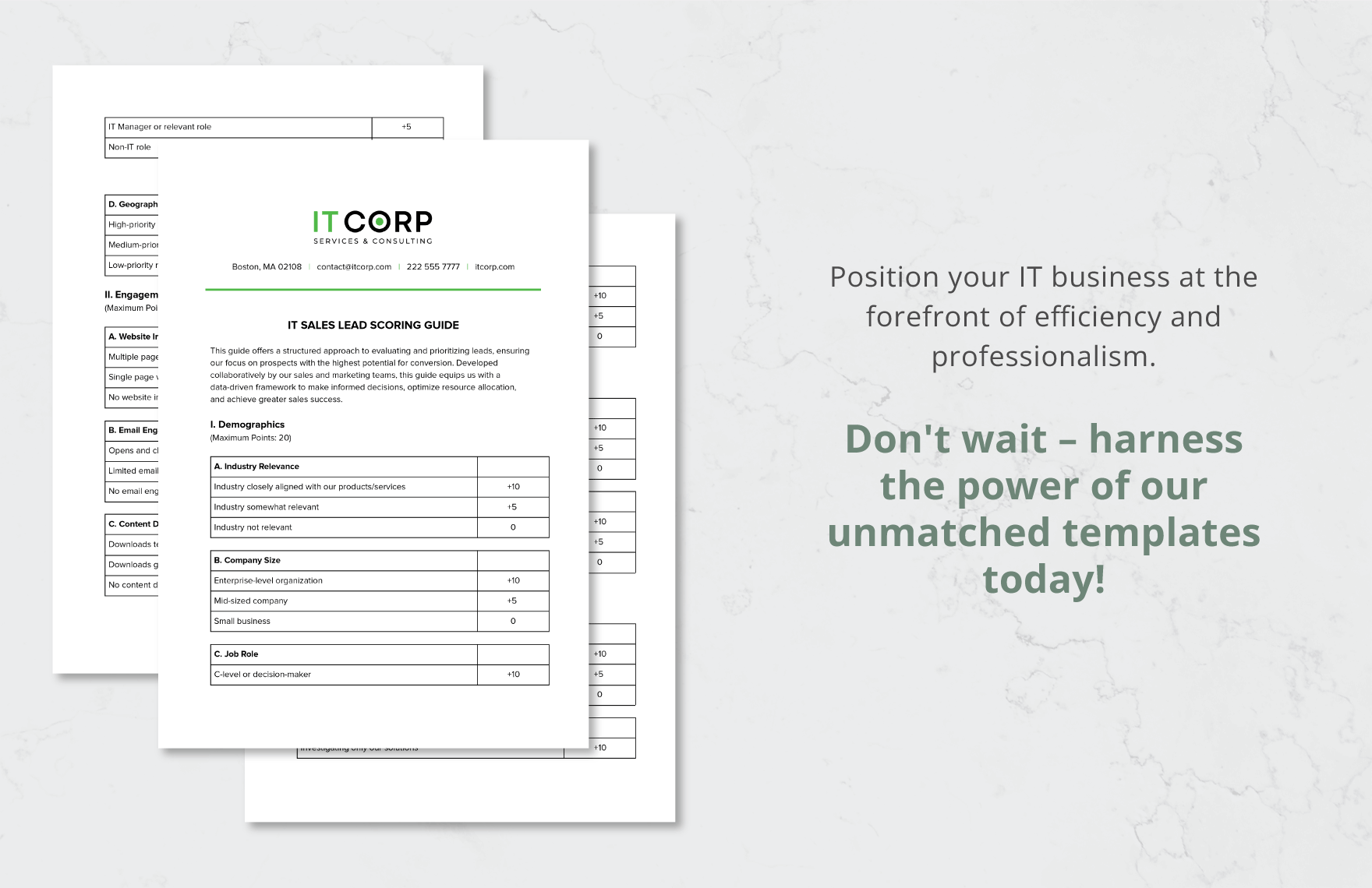 IT Sales Lead Scoring Guide Template