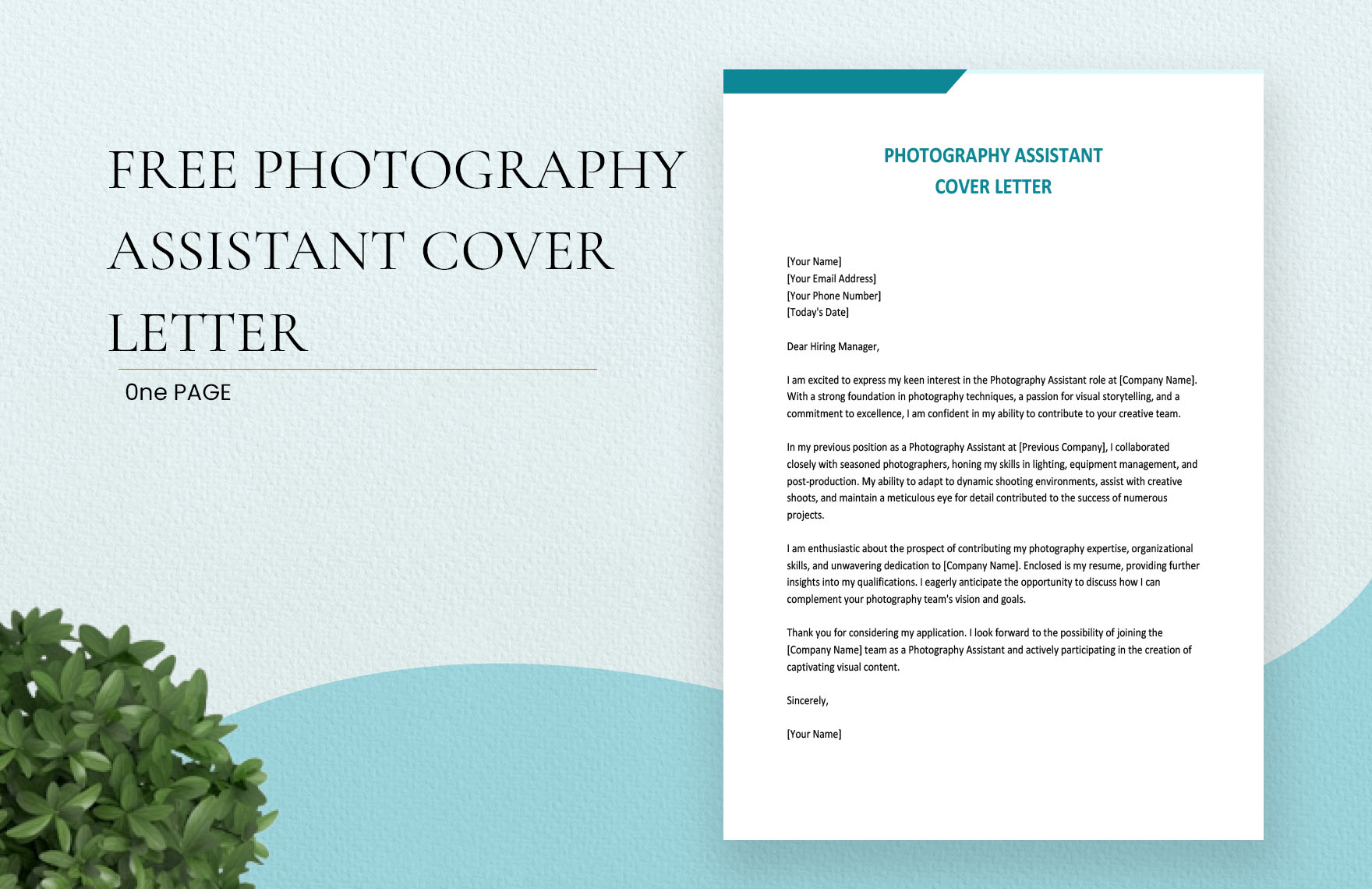 Photography Assistant Cover Letter in Word, Google Docs