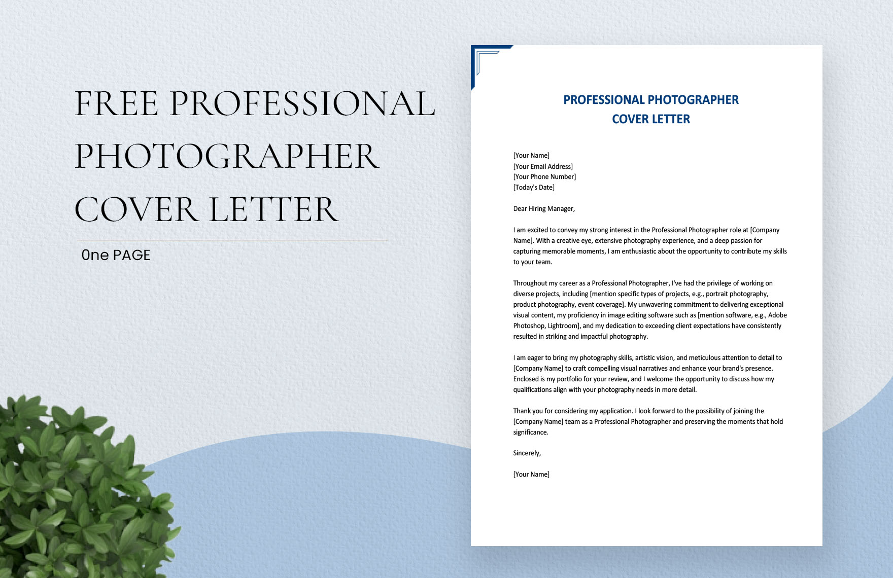 Professional Photographer Cover Letter in Word, Google Docs