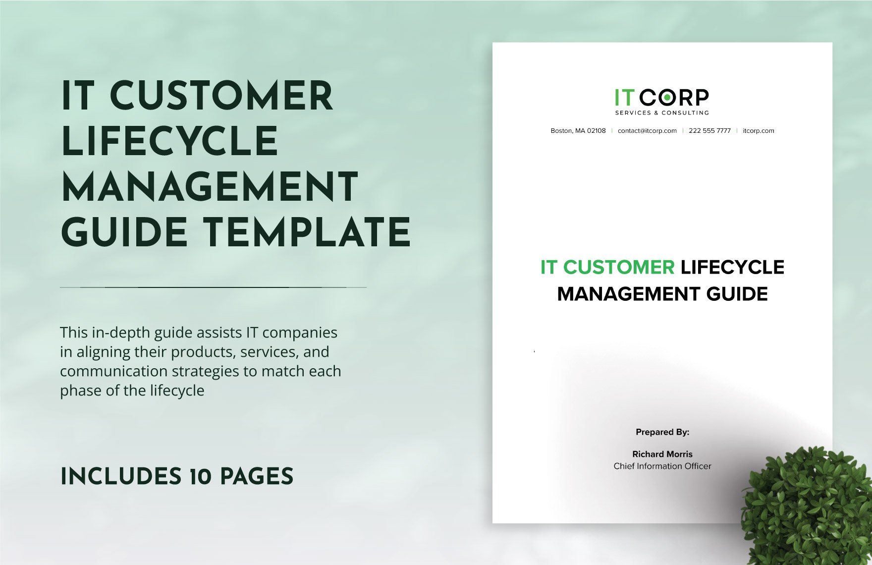 IT Customer Lifecycle Management Guide Template