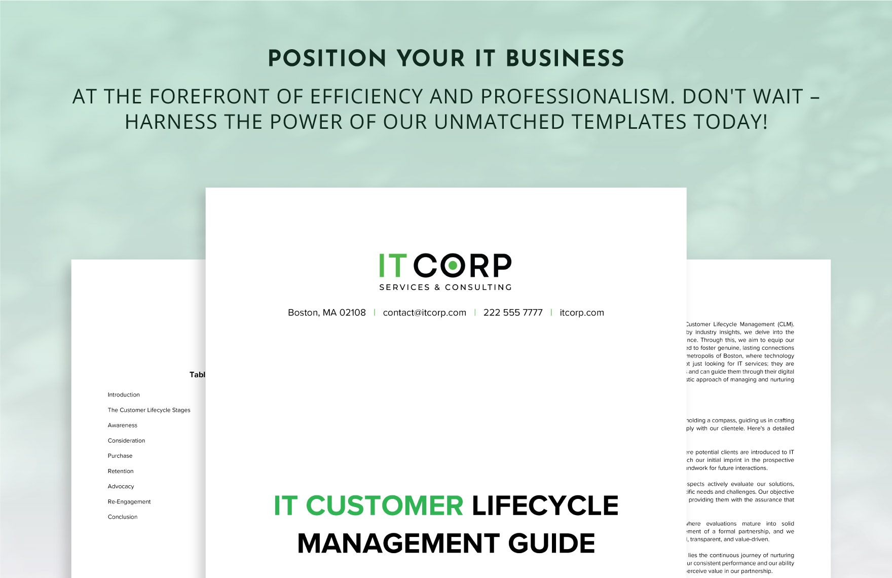 IT Customer Lifecycle Management Guide Template
