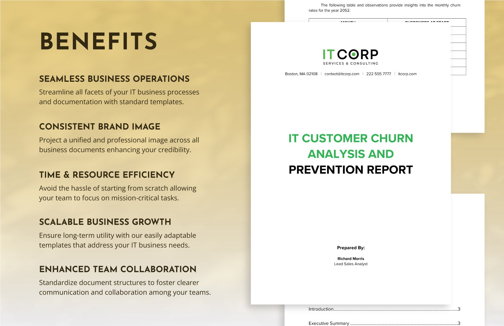 IT Customer Churn Analysis and Prevention Report Template