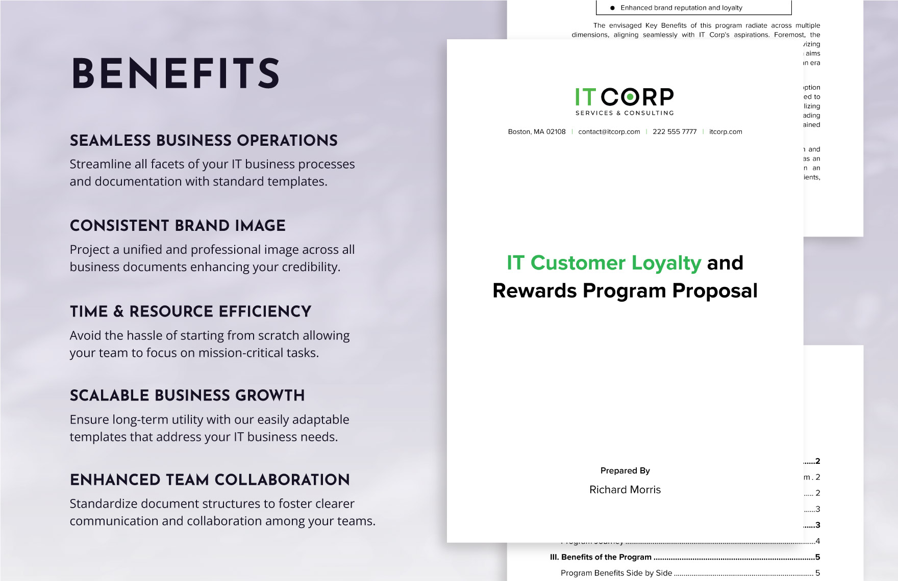 IT Customer Loyalty and Rewards Program Proposal Template