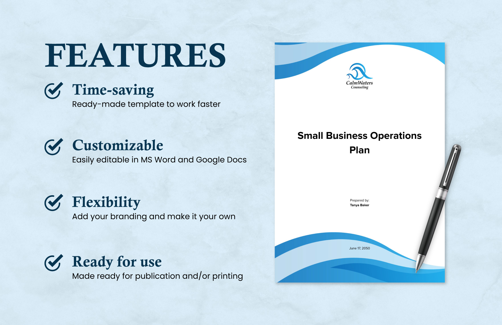 Small Business Operations Plan Template
