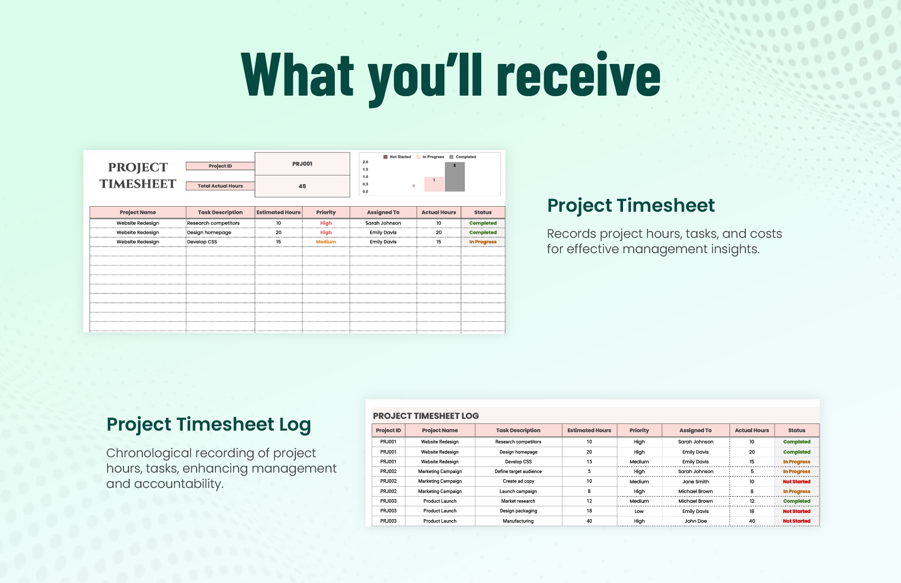 Project Timesheet Template