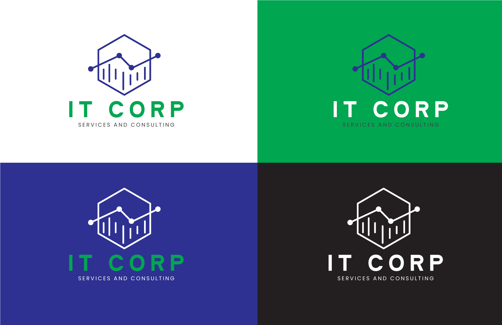 IT ERP Services & Consulting Logo Template