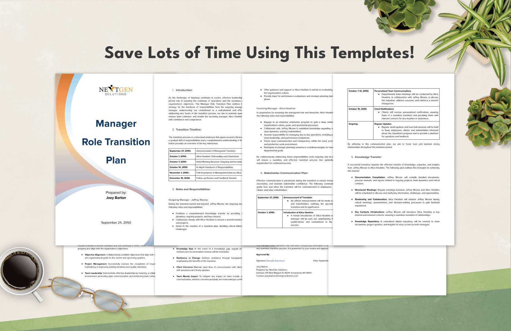 Printable Manager Role Transition Plan Template