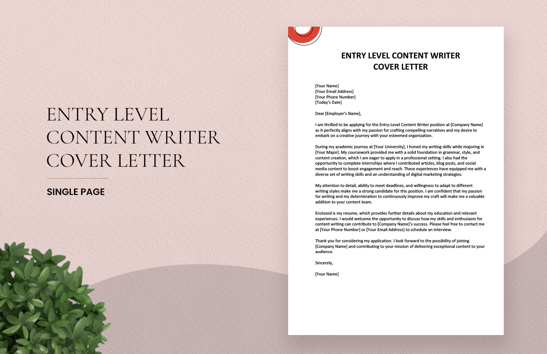 Entry Level Content Writer Cover Letter