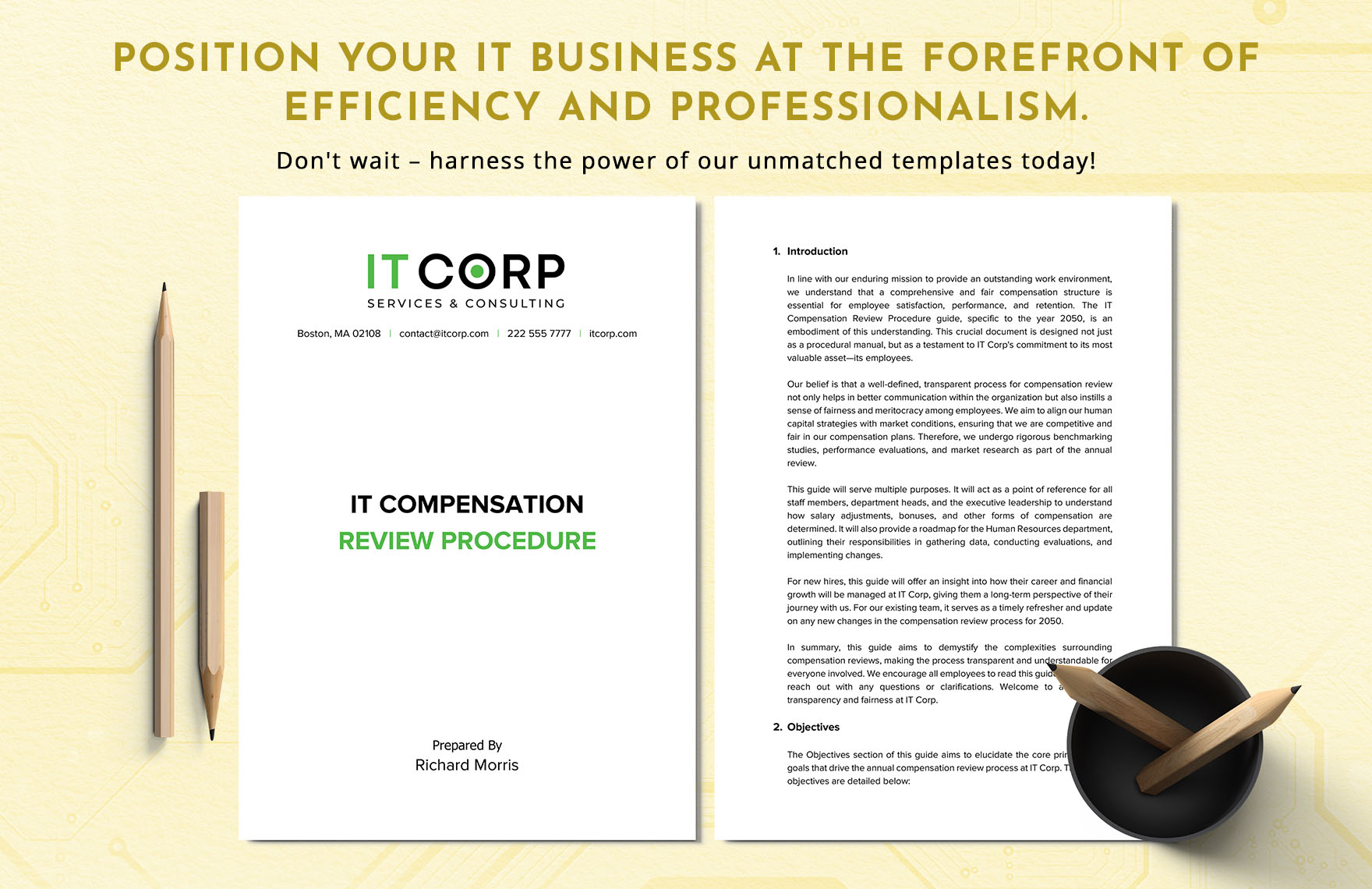 IT Compensation Review Procedure Template