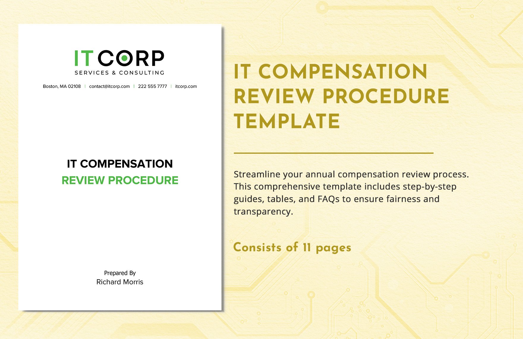 IT Compensation Review Procedure Template