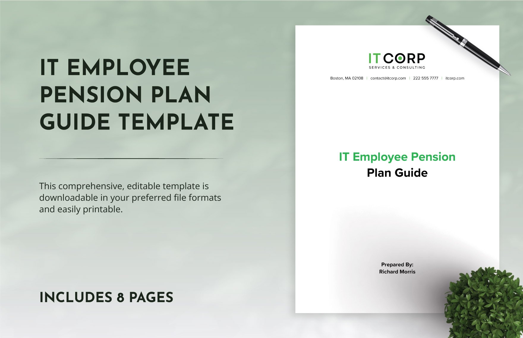 IT Employee Pension Plan Guide Template
