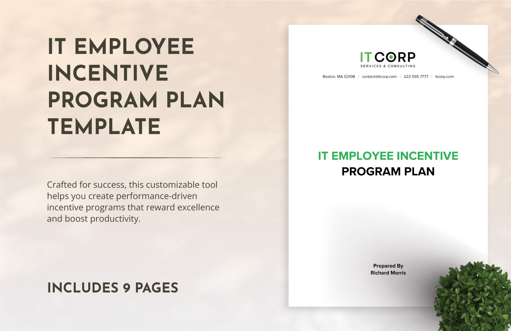 IT Employee Incentive Program Plan Template