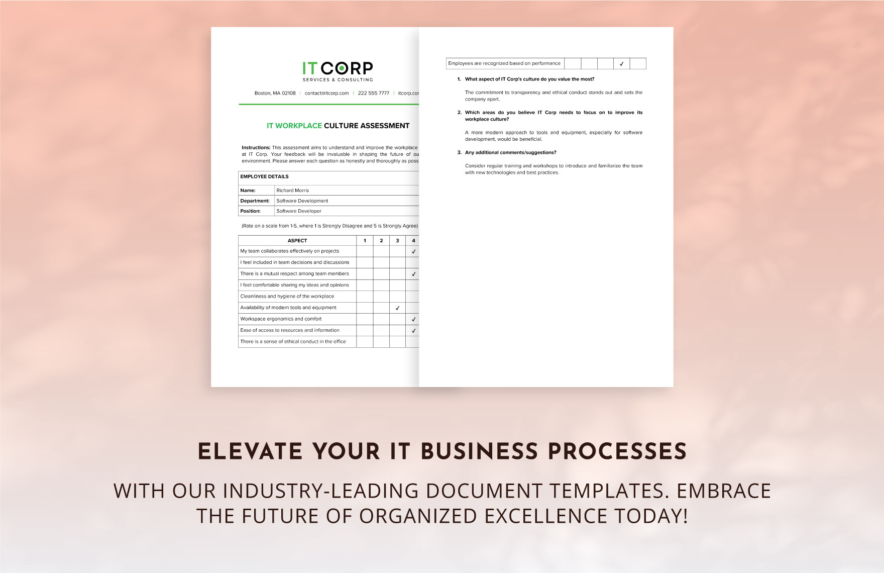 IT Workplace Culture Assessment Template