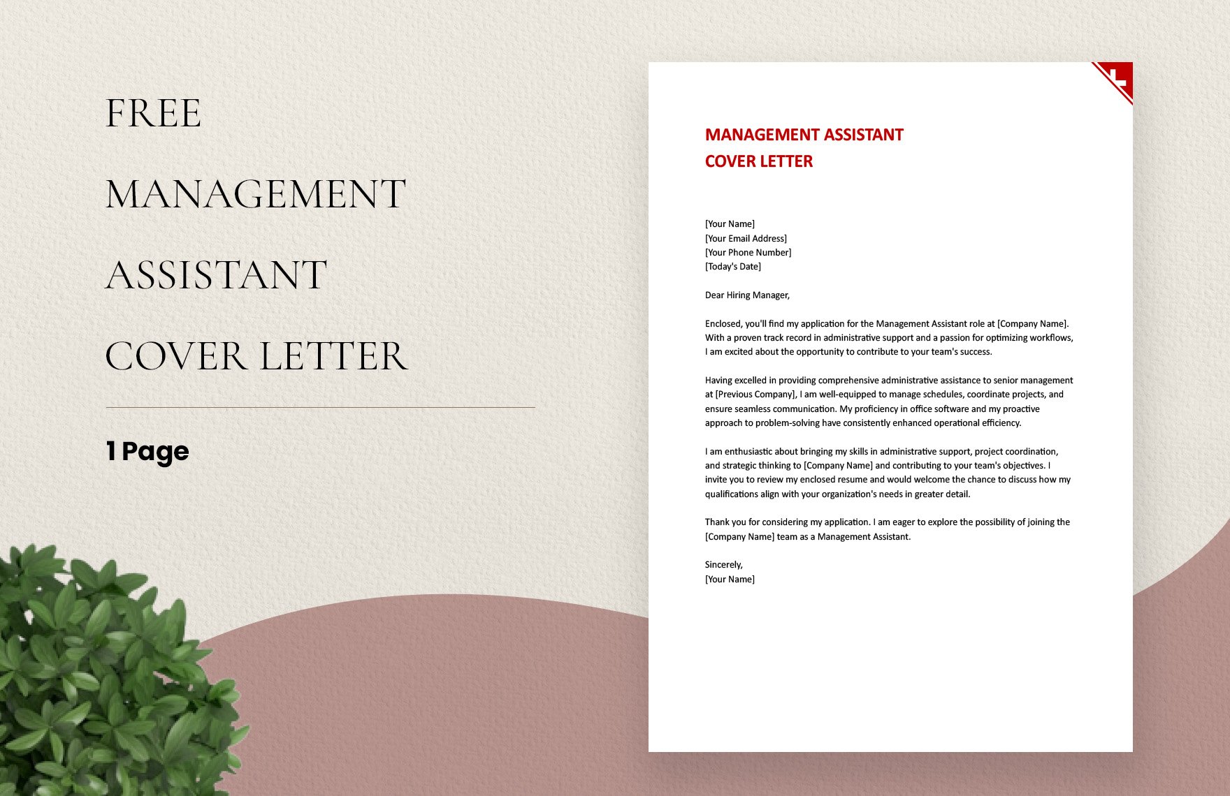 Management Assistant Cover Letter