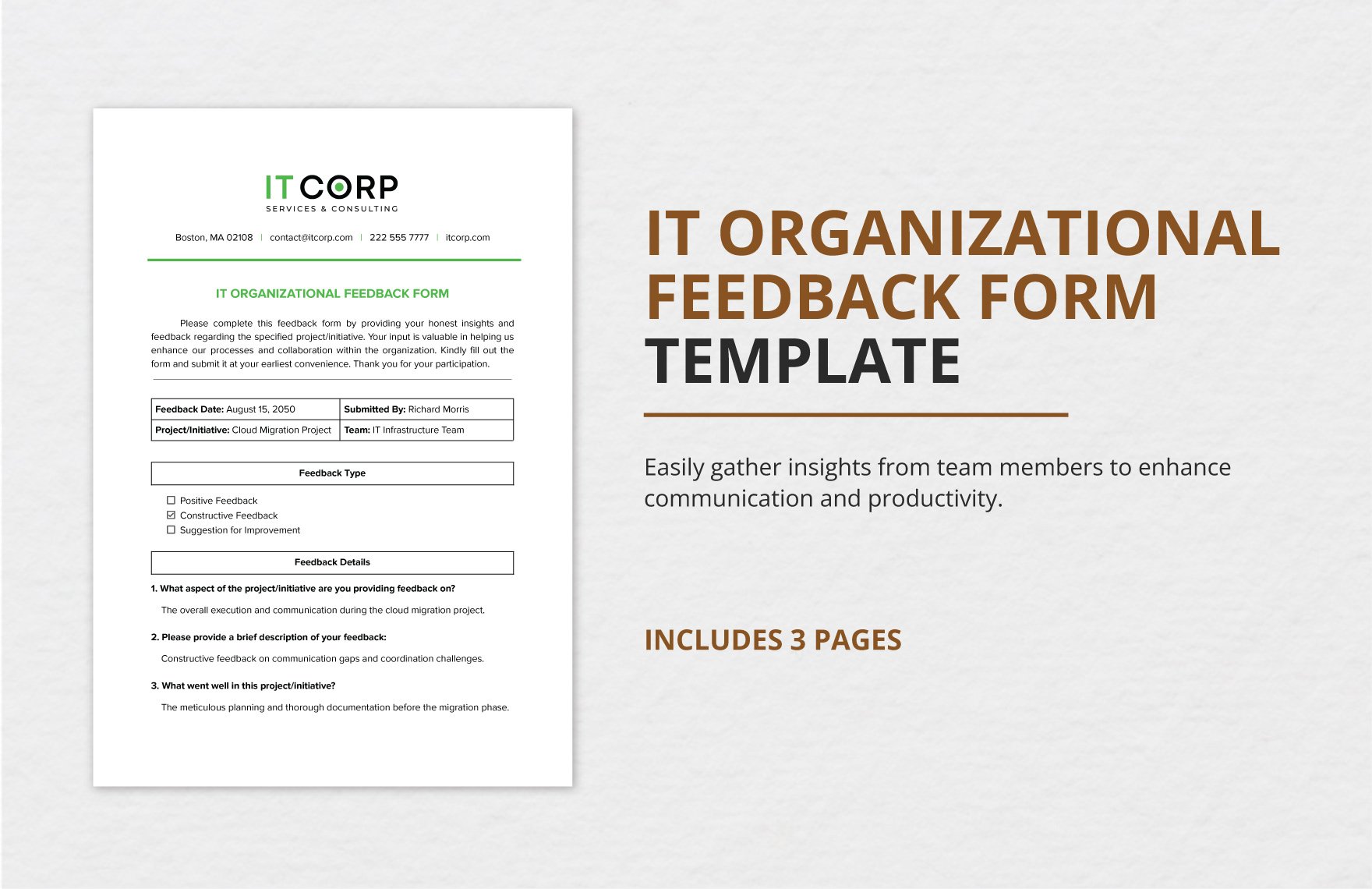 IT Organizational Feedback Form Template