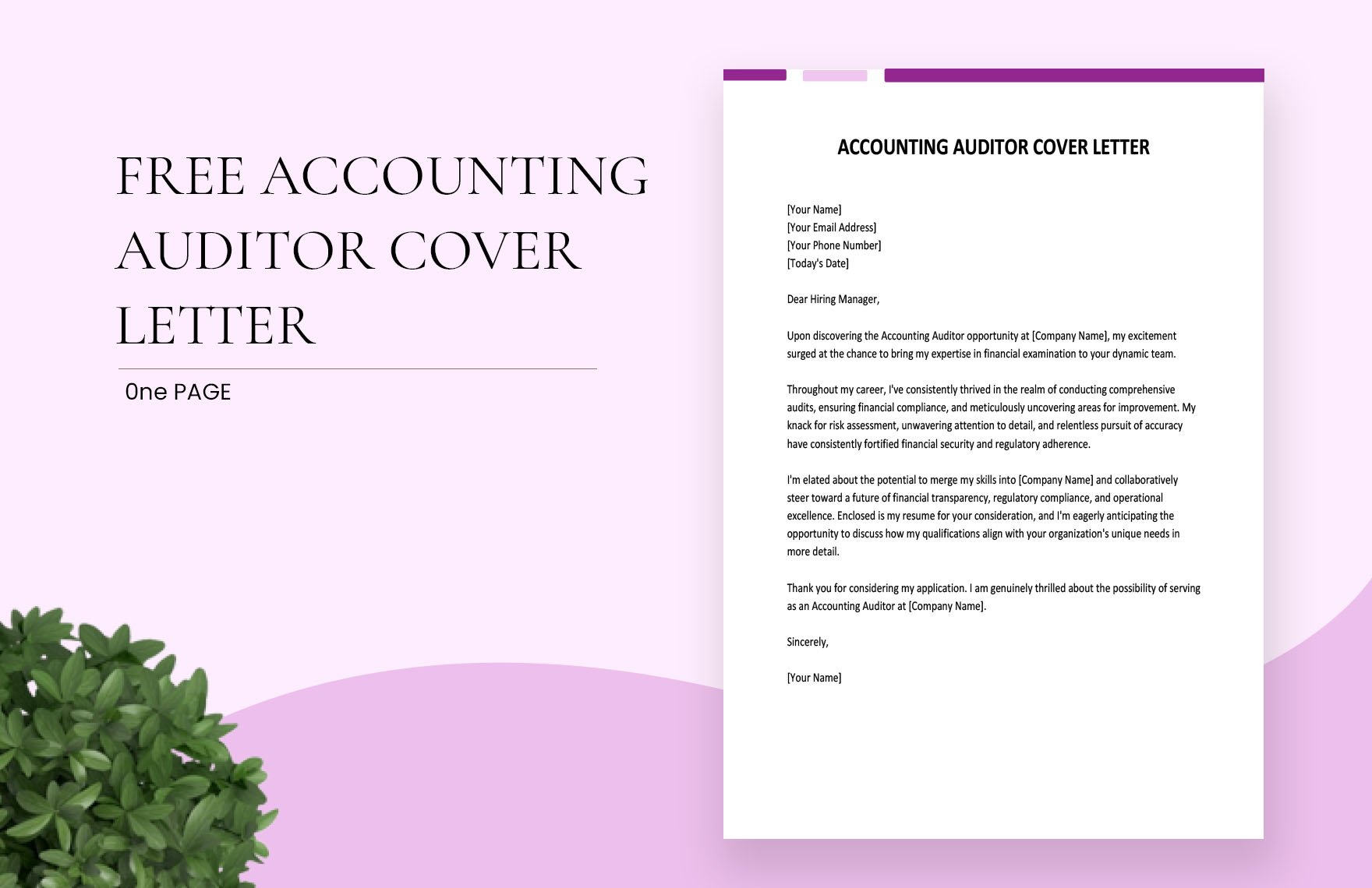 Accounting Auditor Cover Letter