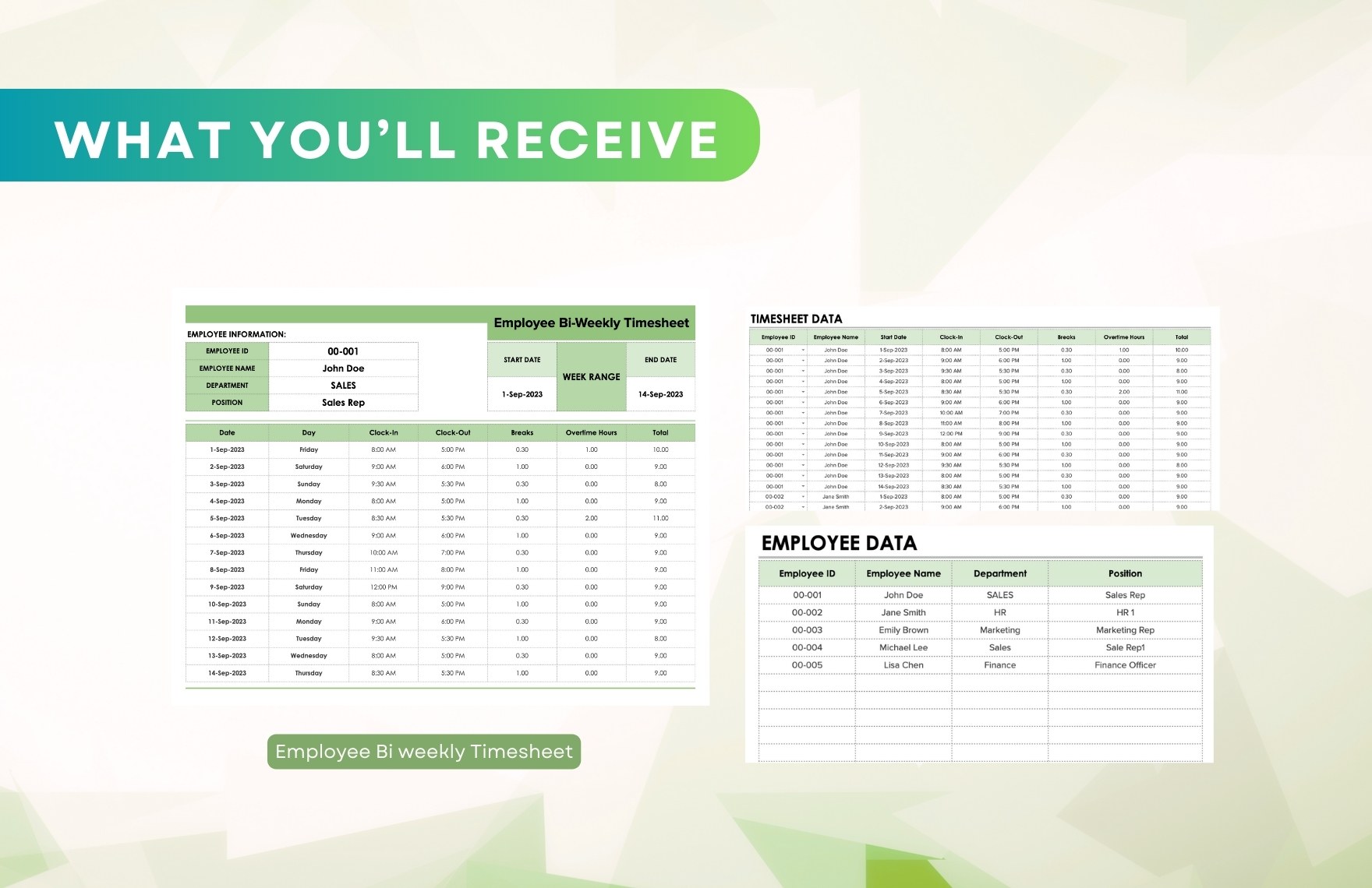 Employee Bi weekly Timesheet Template