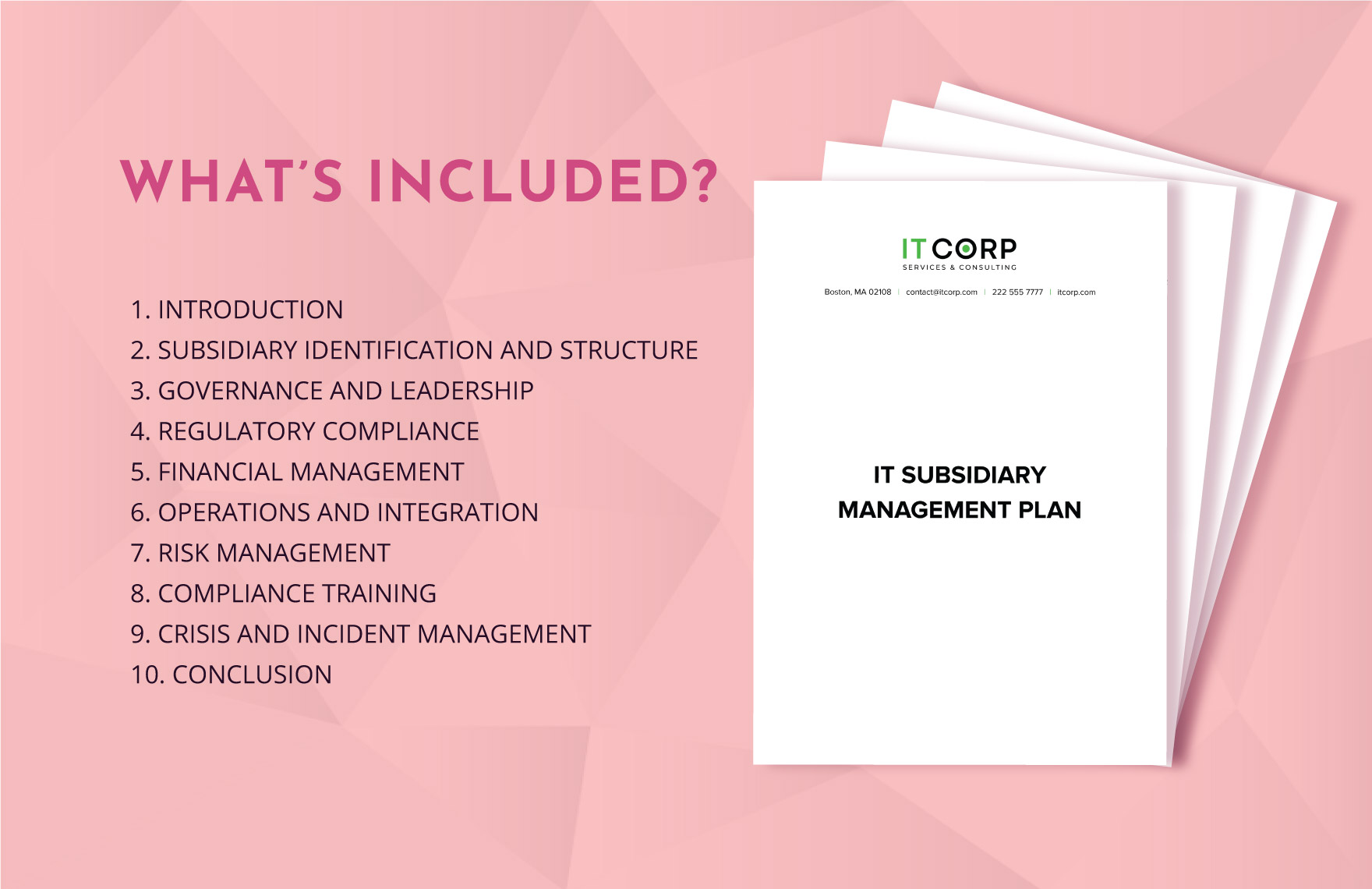 IT Subsidiary Management Plan Template