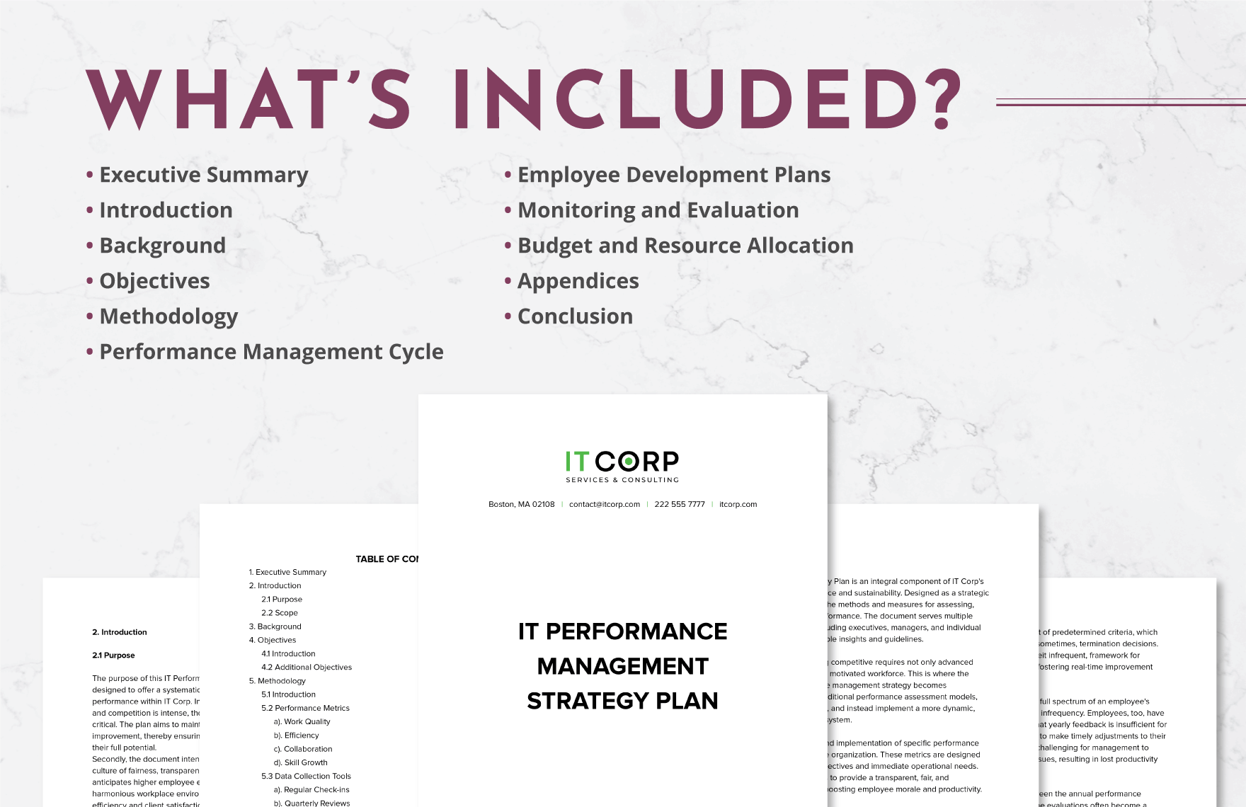IT Performance Management Strategy Plan Template