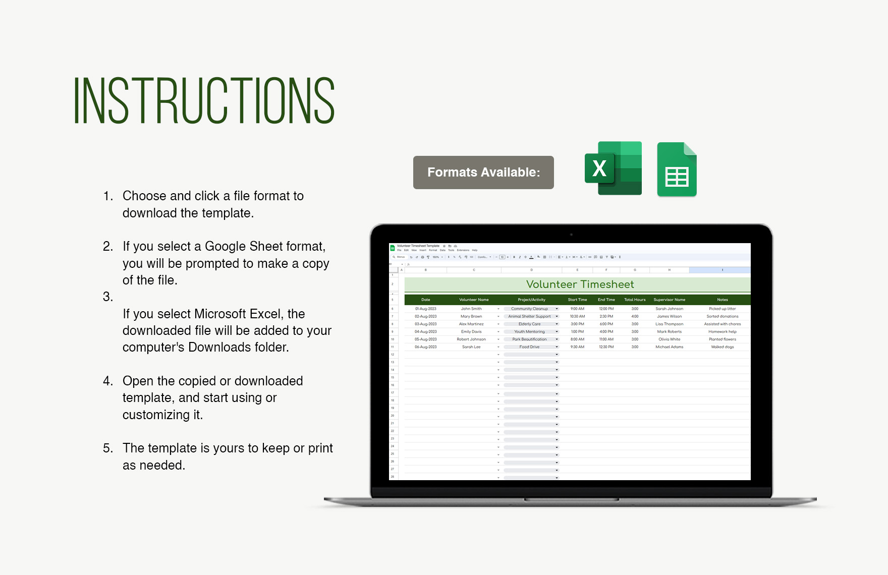 Volunteer Timesheet Template