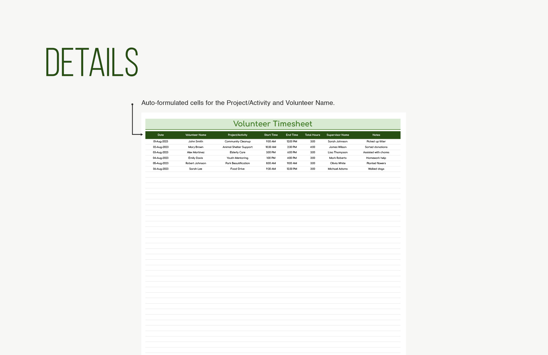 Volunteer Timesheet Template