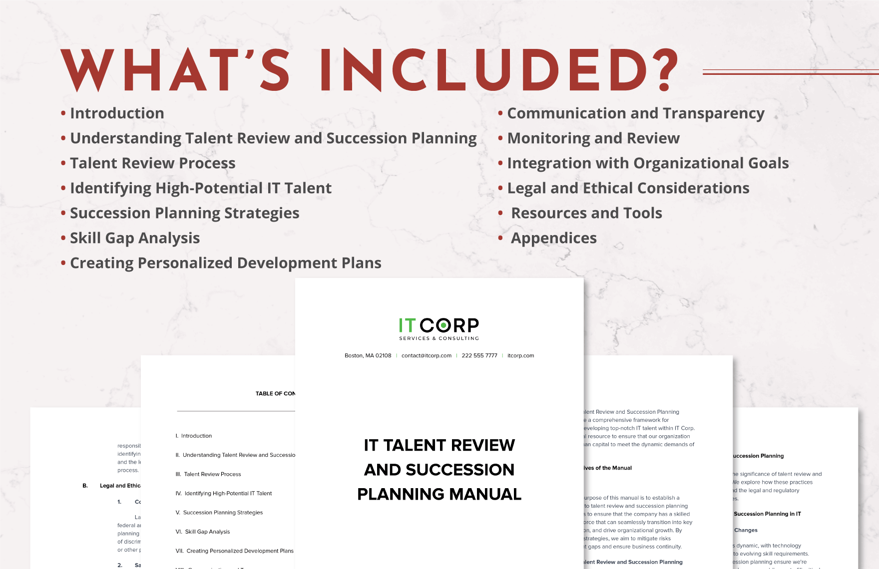 IT Talent Review and Succession Planning Manual Template