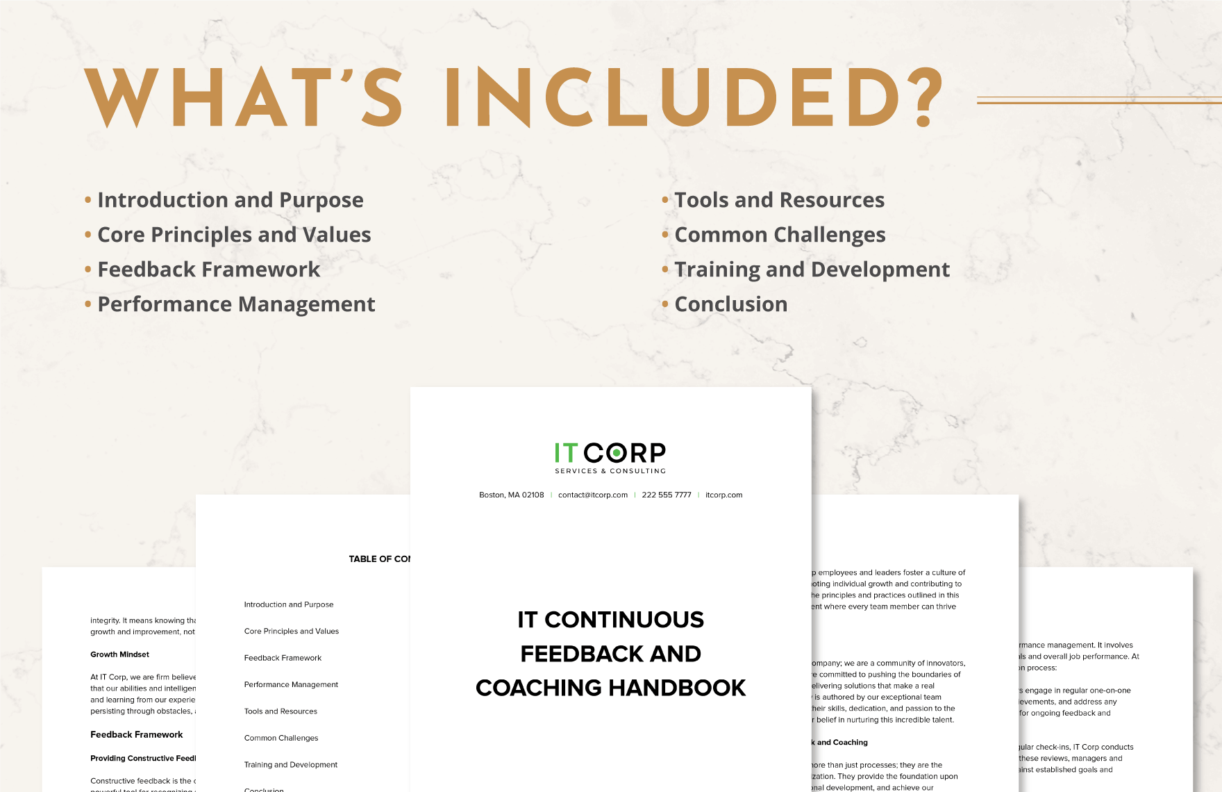 IT Continuous Feedback and Coaching Handbook Template