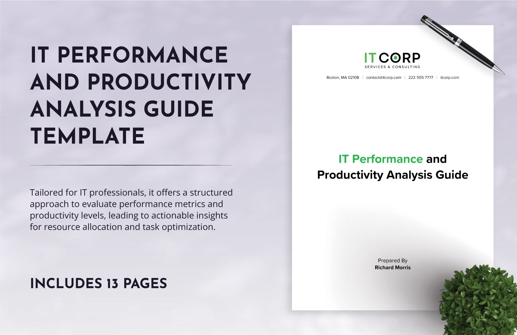 IT Performance and Productivity Analysis Guide Template