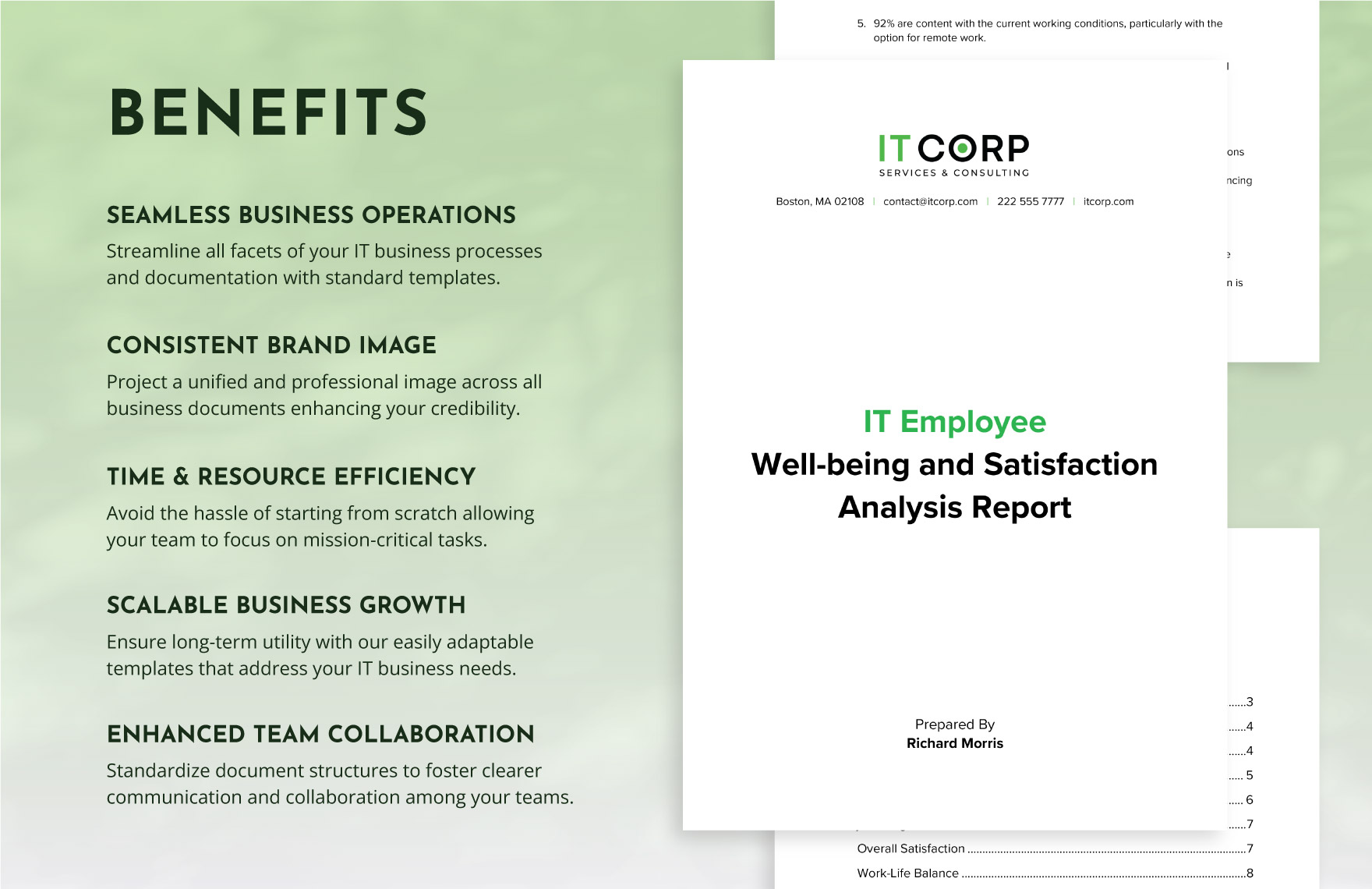 IT Employee Well-being and Satisfaction Analysis Report Template