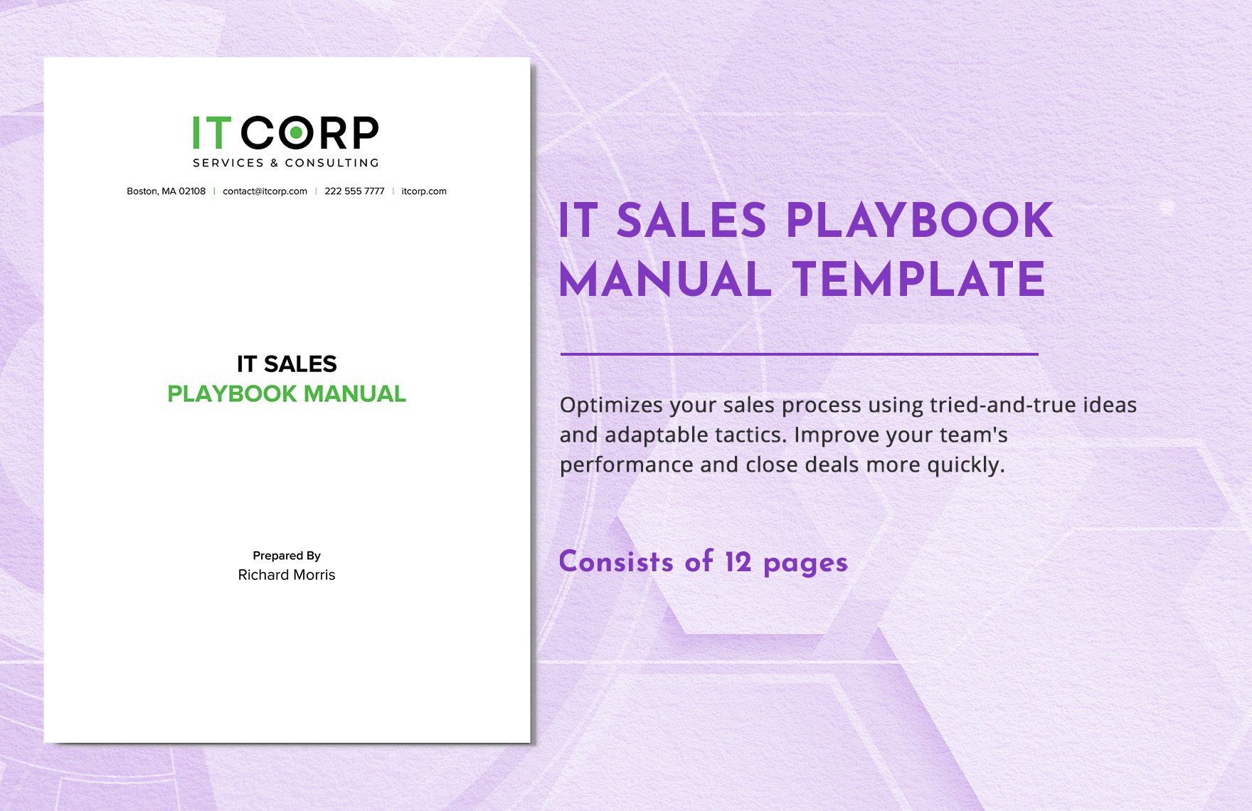 IT Sales Playbook Manual Template in Word, Google Docs, PDF