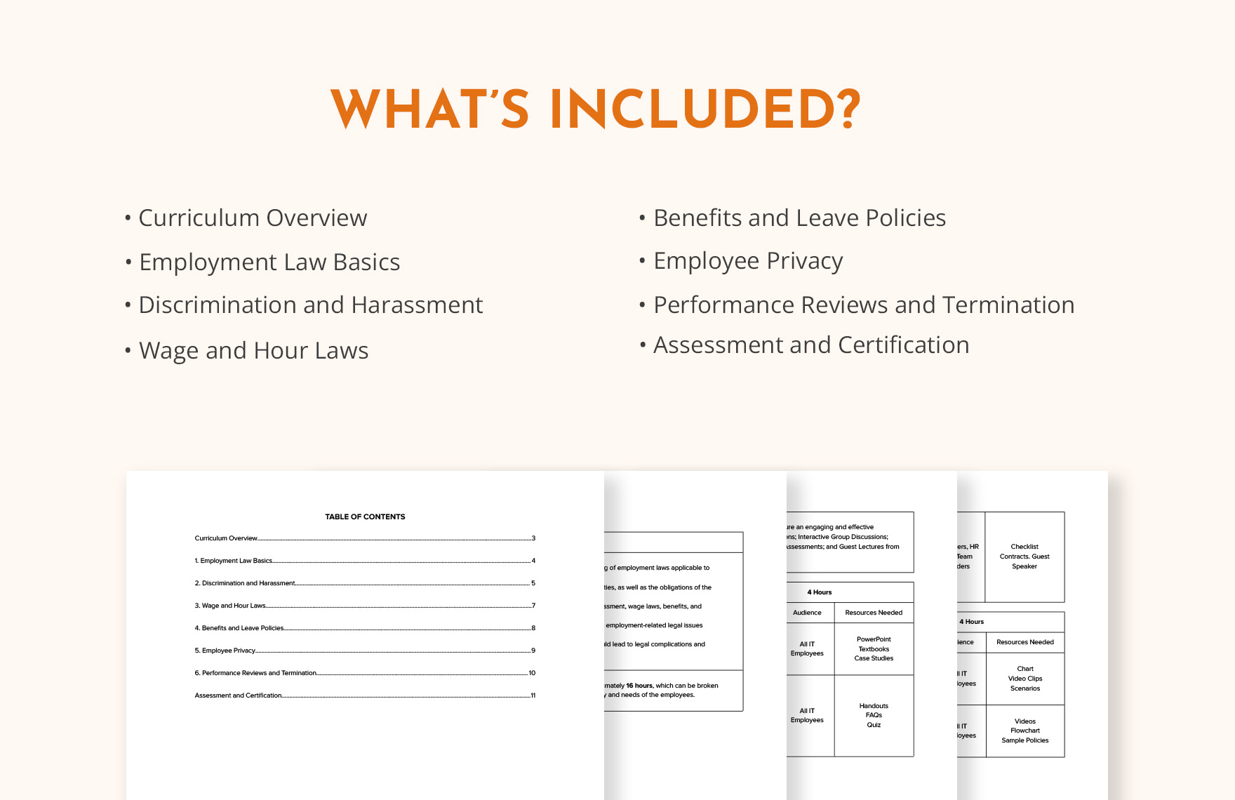 IT Employment Law Training Curriculum Template