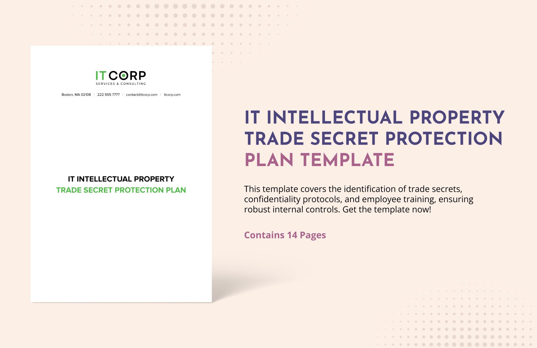 IT Intellectual Property Trade Secret Protection Plan Template