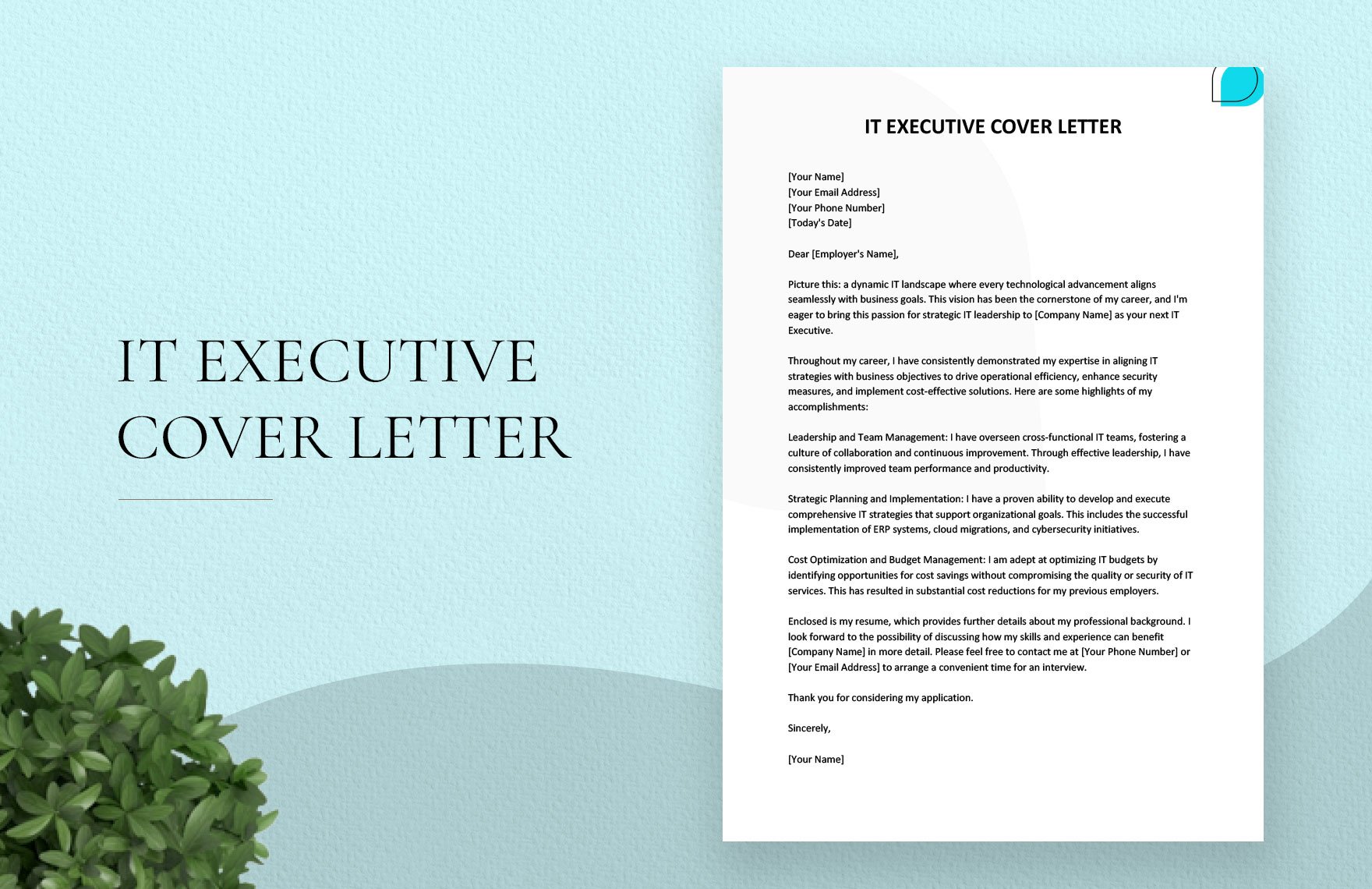 IT Executive Cover Letter