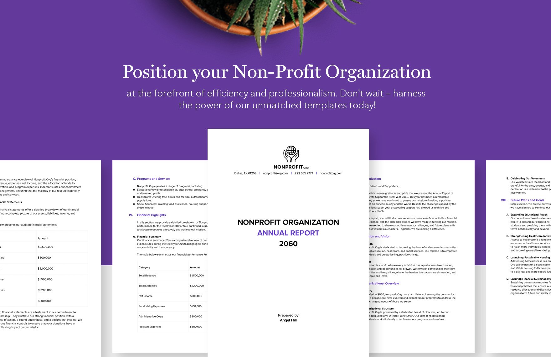 Nonprofit Organization Annual Report Template