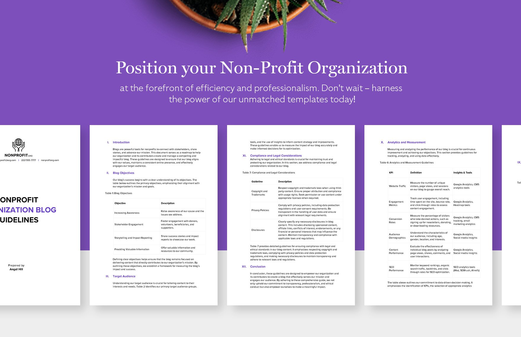 Nonprofit Organization Blog Guidelines Template